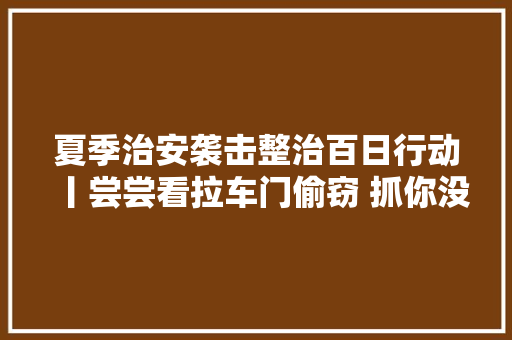 夏季治安袭击整治百日行动丨尝尝看拉车门偷窃 抓你没商量