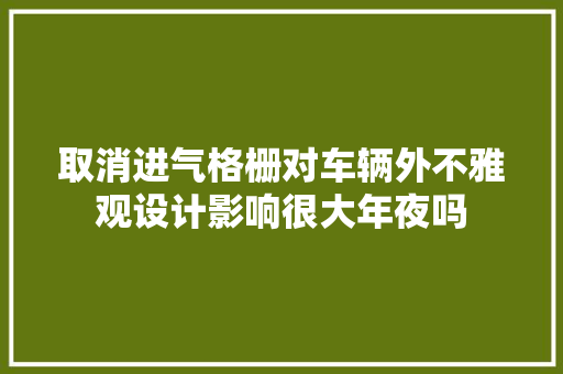 取消进气格栅对车辆外不雅观设计影响很大年夜吗