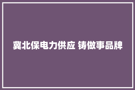冀北保电力供应 铸做事品牌
