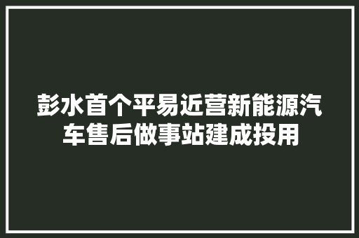 彭水首个平易近营新能源汽车售后做事站建成投用