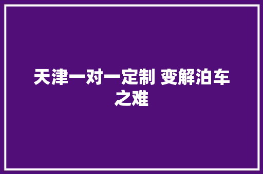 天津一对一定制 变解泊车之难