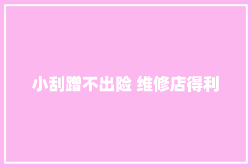 小刮蹭不出险 维修店得利