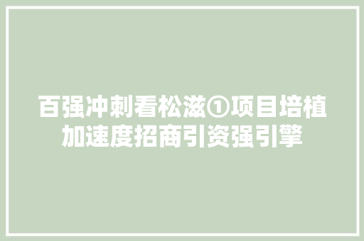 百强冲刺看松滋①项目培植加速度招商引资强引擎