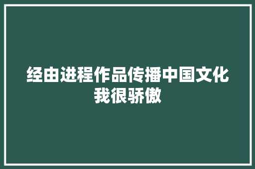 经由进程作品传播中国文化我很骄傲