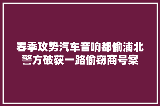 春季攻势汽车音响都偷浦北警方破获一路偷窃商号案