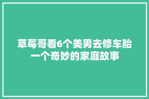草莓哥看6个美男去修车胎一个奇妙的家庭故事