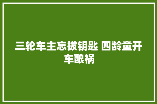 三轮车主忘拔钥匙 四龄童开车酿祸