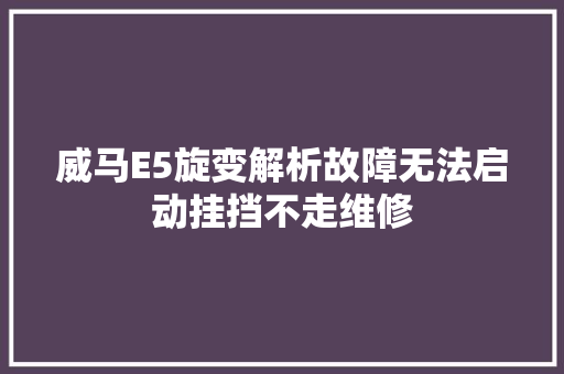 威马E5旋变解析故障无法启动挂挡不走维修