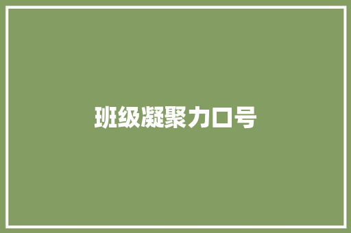 班级凝聚力口号