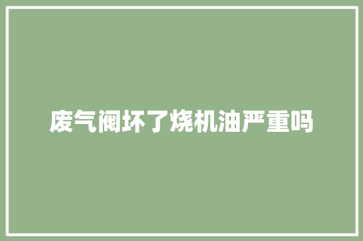 废气阀坏了烧机油严重吗