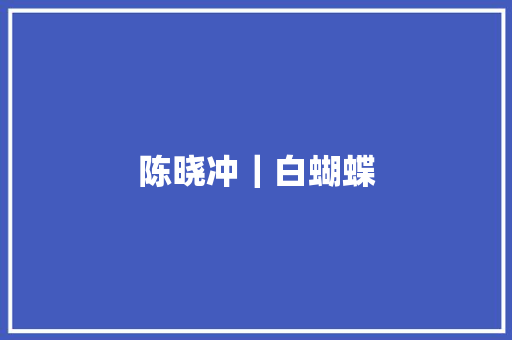 陈晓冲｜白蝴蝶