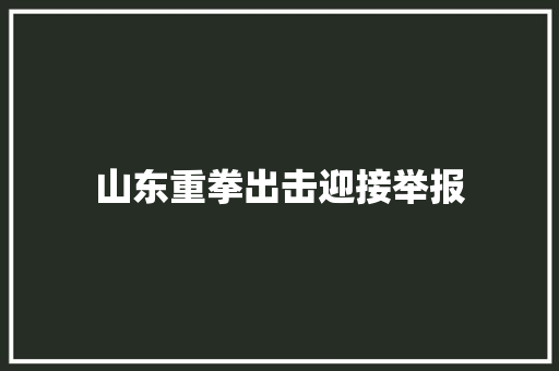 山东重拳出击迎接举报