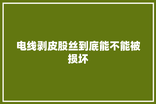 电线剥皮股丝到底能不能被损坏