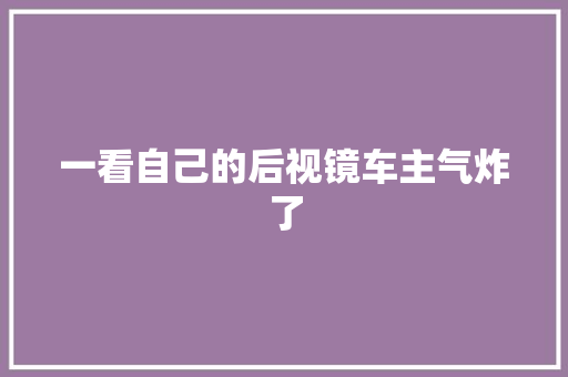 一看自己的后视镜车主气炸了