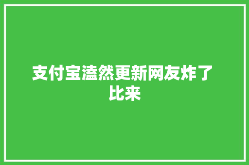 支付宝溘然更新网友炸了 比来