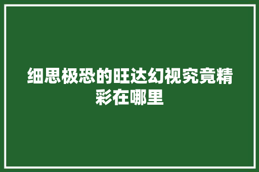 细思极恐的旺达幻视究竟精彩在哪里