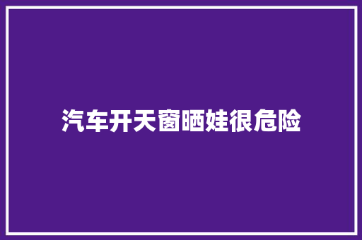 汽车开天窗晒娃很危险