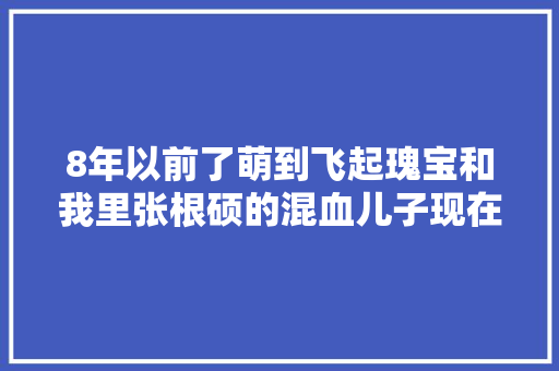 8年以前了萌到飞起瑰宝和我里张根硕的混血儿子现在长这样