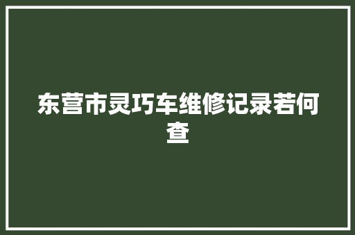 东营市灵巧车维修记录若何查