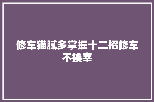 修车猫腻多掌握十二招修车不挨宰