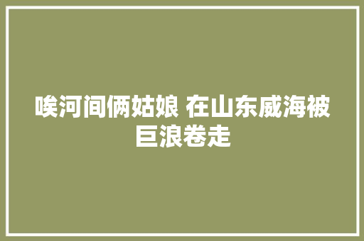 唉河间俩姑娘 在山东威海被巨浪卷走