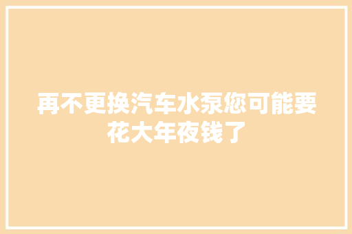 再不更换汽车水泵您可能要花大年夜钱了