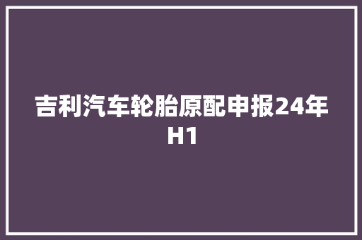 吉利汽车轮胎原配申报24年H1