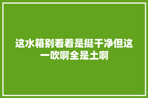 这水箱别看着是挺干净但这一吹啊全是土啊