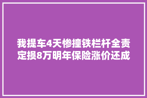 我提车4天惨撞铁栏杆全责定损8万明年保险涨价还成二手车