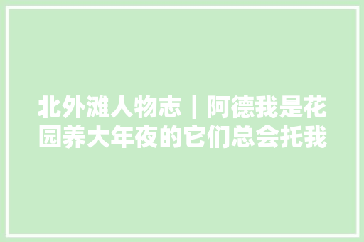 北外滩人物志｜阿德我是花园养大年夜的它们总会托我一把