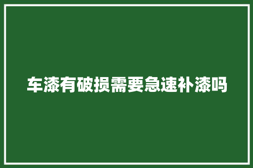 车漆有破损需要急速补漆吗