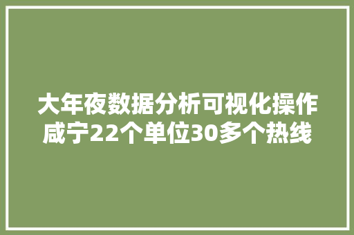 大年夜数据分析可视化操作咸宁22个单位30多个热线电话并入12345