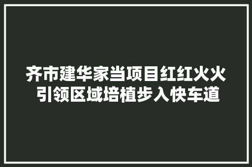 齐市建华家当项目红红火火 引领区域培植步入快车道
