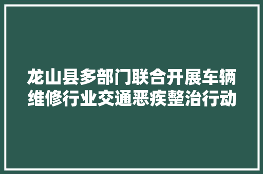 龙山县多部门联合开展车辆维修行业交通恶疾整治行动