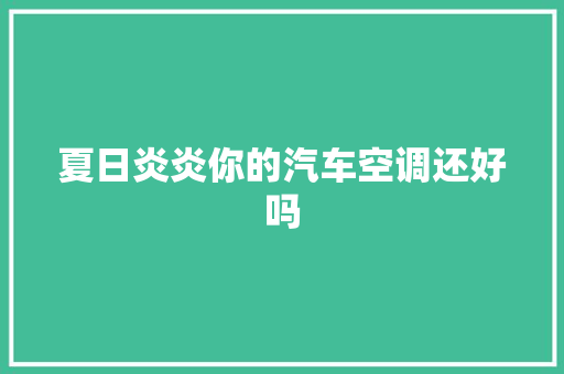 夏日炎炎你的汽车空调还好吗