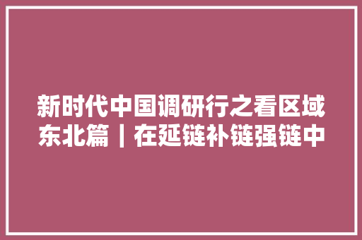 新时代中国调研行之看区域东北篇｜在延链补链强链中再造家当动能来自东北石化重镇的减油增化申报