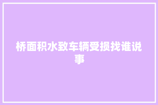 桥面积水致车辆受损找谁说事