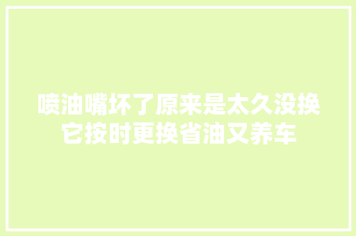 喷油嘴坏了原来是太久没换它按时更换省油又养车