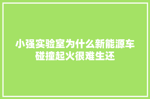 小强实验室为什么新能源车碰撞起火很难生还