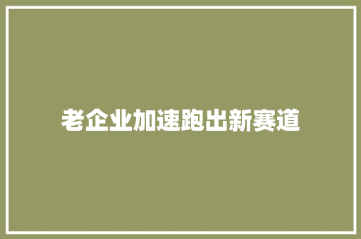 老企业加速跑出新赛道