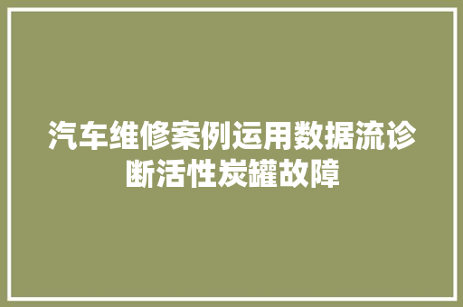 汽车维修案例运用数据流诊断活性炭罐故障