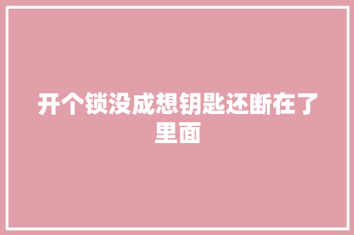 开个锁没成想钥匙还断在了里面