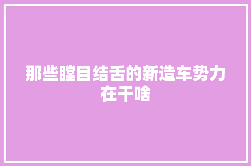 那些瞠目结舌的新造车势力在干啥
