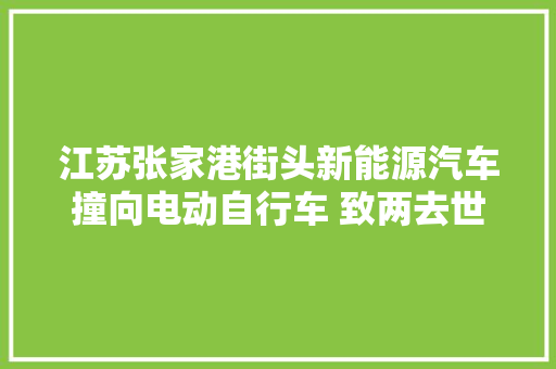 江苏张家港街头新能源汽车撞向电动自行车 致两去世一伤