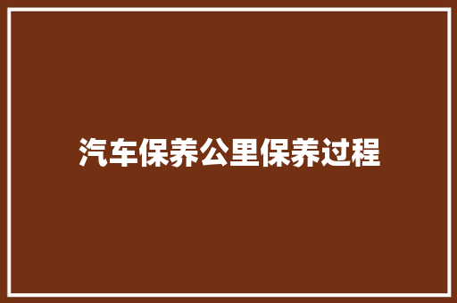 汽车保养公里保养过程