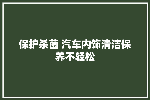 保护杀菌 汽车内饰清洁保养不轻松