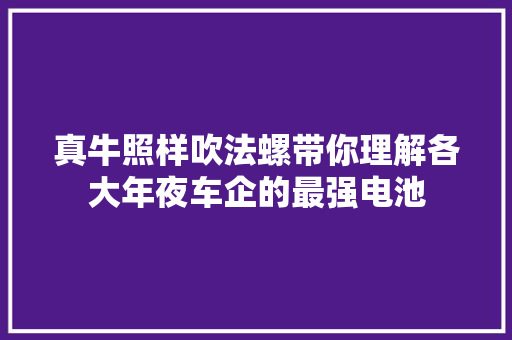 真牛照样吹法螺带你理解各大年夜车企的最强电池