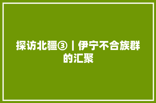 探访北疆③｜伊宁不合族群的汇聚