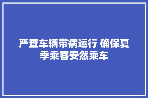严查车辆带病运行 确保夏季乘客安然乘车