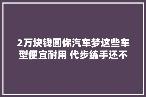 2万块钱圆你汽车梦这些车型便宜耐用 代步练手还不亏